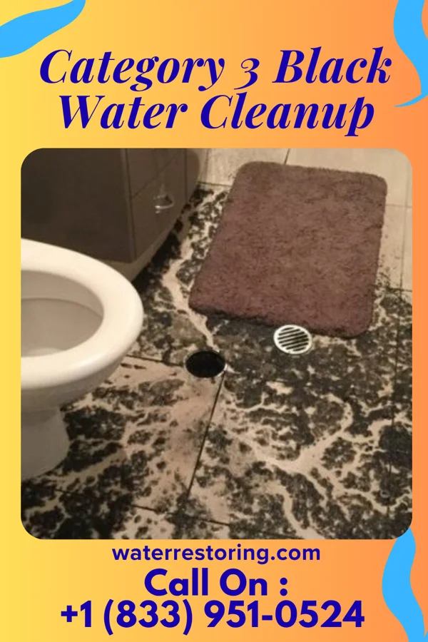 Category 3 Black Water Cleanup in Indiahoma, OK